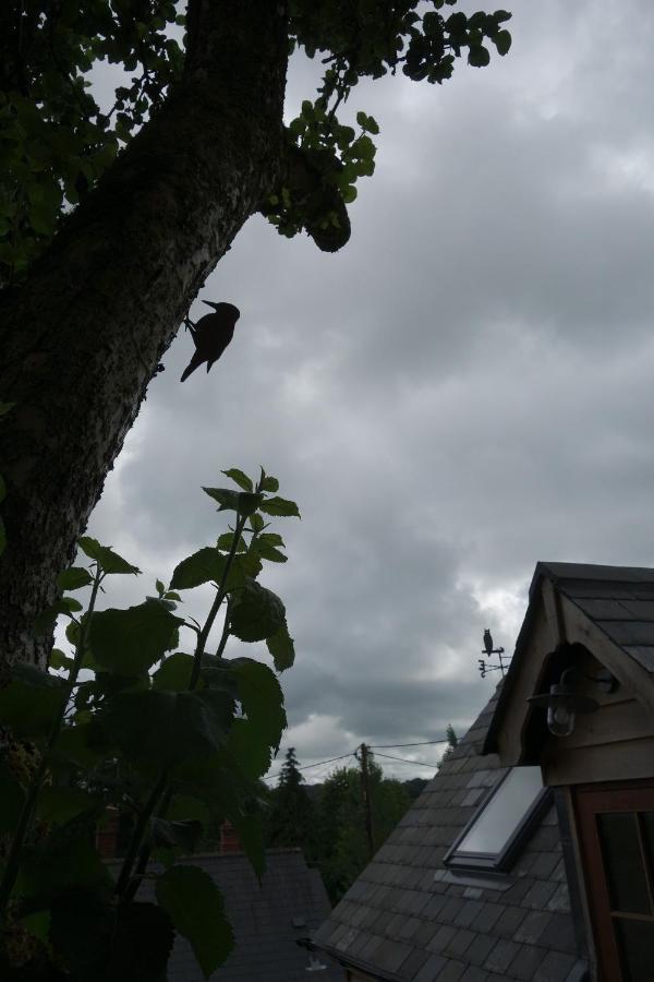 Appartamento The Roost Semley Esterno foto